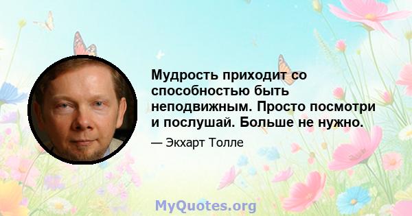 Мудрость приходит со способностью быть неподвижным. Просто посмотри и послушай. Больше не нужно.