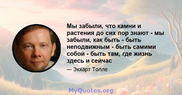 Мы забыли, что камни и растения до сих пор знают - мы забыли, как быть - быть неподвижным - быть самими собой - быть там, где жизнь здесь и сейчас