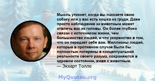 Мысль утихнет, когда вы ласкаете свою собаку или у вас есть кошка на груди. Даже просто наблюдение за животным может отвлечь вас из головы. Он более глубоко связан с источником жизни, чем большинство людей, и что