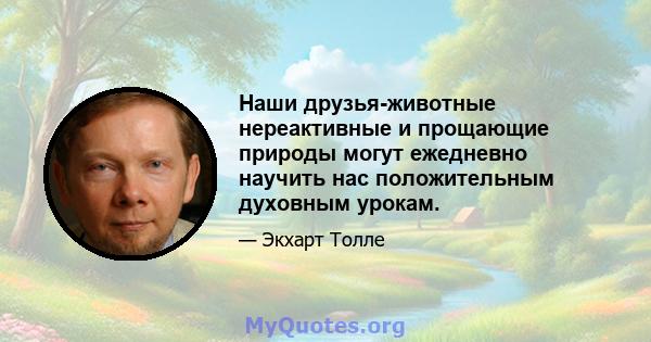 Наши друзья-животные нереактивные и прощающие природы могут ежедневно научить нас положительным духовным урокам.