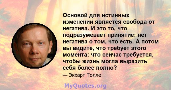 Основой для истинных изменений является свобода от негатива. И это то, что подразумевает принятие: нет негатива о том, что есть. А потом вы видите, что требует этого момента: что сейчас требуется, чтобы жизнь могла