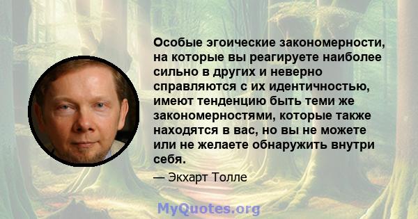 Особые эгоические закономерности, на которые вы реагируете наиболее сильно в других и неверно справляются с их идентичностью, имеют тенденцию быть теми же закономерностями, которые также находятся в вас, но вы не можете 