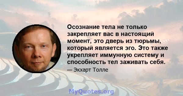 Осознание тела не только закрепляет вас в настоящий момент, это дверь из тюрьмы, который является эго. Это также укрепляет иммунную систему и способность тел заживать себя.