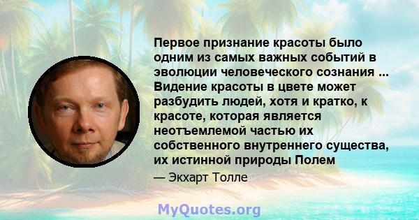 Первое признание красоты было одним из самых важных событий в эволюции человеческого сознания ... Видение красоты в цвете может разбудить людей, хотя и кратко, к красоте, которая является неотъемлемой частью их