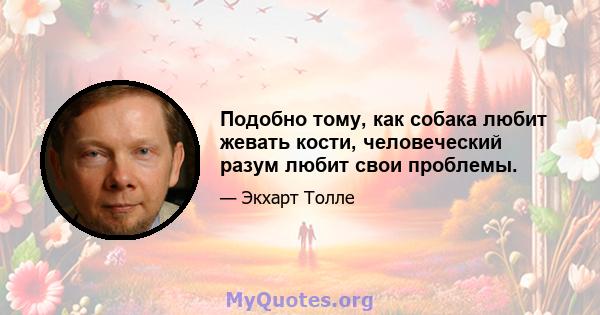 Подобно тому, как собака любит жевать кости, человеческий разум любит свои проблемы.