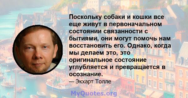 Поскольку собаки и кошки все еще живут в первоначальном состоянии связанности с бытиями, они могут помочь нам восстановить его. Однако, когда мы делаем это, это оригинальное состояние углубляется и превращается в