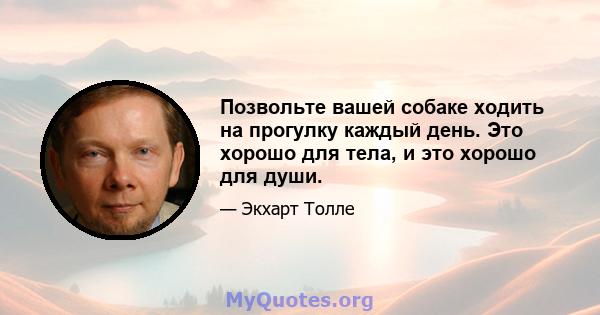 Позвольте вашей собаке ходить на прогулку каждый день. Это хорошо для тела, и это хорошо для души.