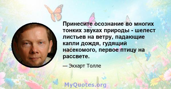 Принесите осознание во многих тонких звуках природы - шелест листьев на ветру, падающие капли дождя, гудящий насекомого, первое птицу на рассвете.