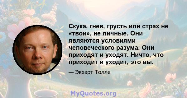 Скука, гнев, грусть или страх не «твои», не личные. Они являются условиями человеческого разума. Они приходят и уходят. Ничто, что приходит и уходит, это вы.