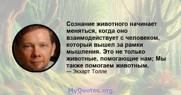 Сознание животного начинает меняться, когда оно взаимодействует с человеком, который вышел за рамки мышления. Это не только животные, помогающие нам; Мы также помогаем животным.