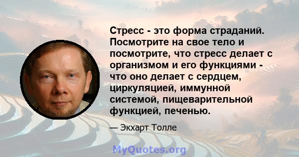 Стресс - это форма страданий. Посмотрите на свое тело и посмотрите, что стресс делает с организмом и его функциями - что оно делает с сердцем, циркуляцией, иммунной системой, пищеварительной функцией, печенью.