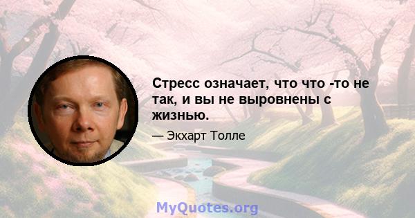 Стресс означает, что что -то не так, и вы не выровнены с жизнью.