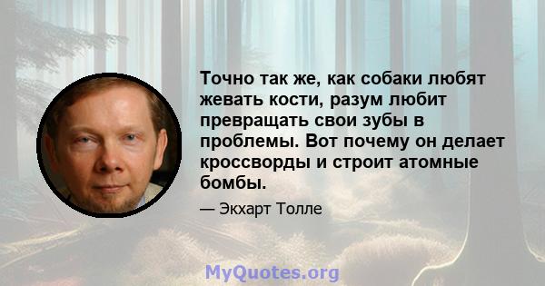 Точно так же, как собаки любят жевать кости, разум любит превращать свои зубы в проблемы. Вот почему он делает кроссворды и строит атомные бомбы.