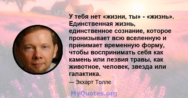 У тебя нет «жизни, ты» - «жизнь». Единственная жизнь, единственное сознание, которое пронизывает всю вселенную и принимает временную форму, чтобы воспринимать себя как камень или лезвия травы, как животное, человек,