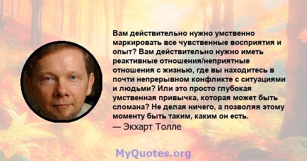 Вам действительно нужно умственно маркировать все чувственные восприятия и опыт? Вам действительно нужно иметь реактивные отношения/неприятные отношения с жизнью, где вы находитесь в почти непрерывном конфликте с