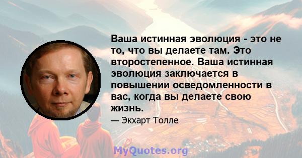 Ваша истинная эволюция - это не то, что вы делаете там. Это второстепенное. Ваша истинная эволюция заключается в повышении осведомленности в вас, когда вы делаете свою жизнь.