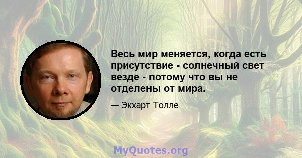 Весь мир меняется, когда есть присутствие - солнечный свет везде - потому что вы не отделены от мира.