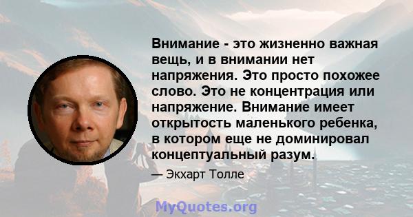 Внимание - это жизненно важная вещь, и в внимании нет напряжения. Это просто похожее слово. Это не концентрация или напряжение. Внимание имеет открытость маленького ребенка, в котором еще не доминировал концептуальный