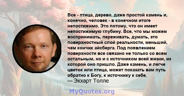 Все - птица, дерево, даже простой камень и, конечно, человек - в конечном итоге непостижимо. Это потому, что он имеет непостижимую глубину. Все, что мы можем воспринимать, переживать, думать, это поверхностный слой