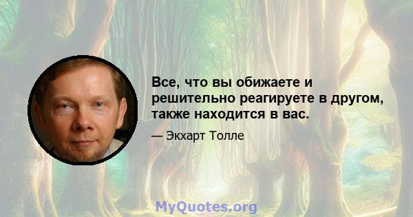 Все, что вы обижаете и решительно реагируете в другом, также находится в вас.