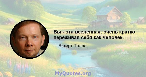 Вы - эта вселенная, очень кратко переживая себя как человек.