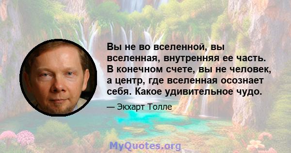 Вы не во вселенной, вы вселенная, внутренняя ее часть. В конечном счете, вы не человек, а центр, где вселенная осознает себя. Какое удивительное чудо.