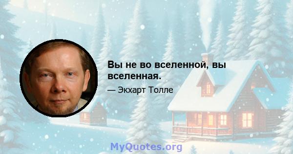 Вы не во вселенной, вы вселенная.