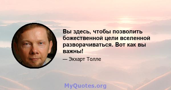 Вы здесь, чтобы позволить божественной цели вселенной разворачиваться. Вот как вы важны!