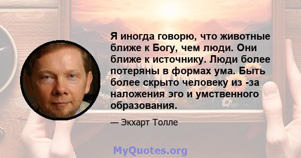 Я иногда говорю, что животные ближе к Богу, чем люди. Они ближе к источнику. Люди более потеряны в формах ума. Быть более скрыто человеку из -за наложения эго и умственного образования.