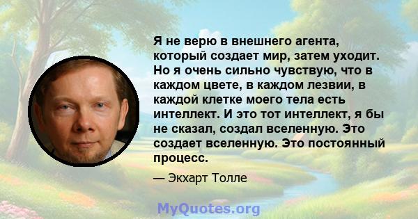 Я не верю в внешнего агента, который создает мир, затем уходит. Но я очень сильно чувствую, что в каждом цвете, в каждом лезвии, в каждой клетке моего тела есть интеллект. И это тот интеллект, я бы не сказал, создал