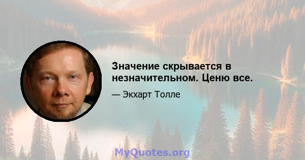 Значение скрывается в незначительном. Ценю все.