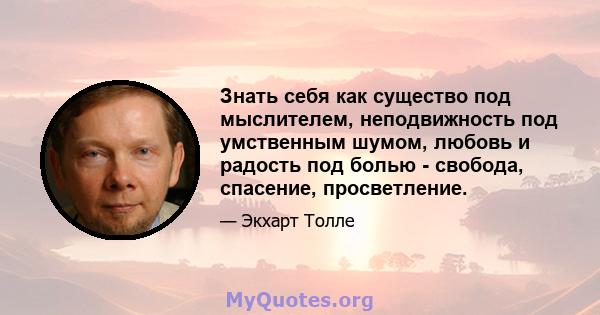 Знать себя как существо под мыслителем, неподвижность под умственным шумом, любовь и радость под болью - свобода, спасение, просветление.