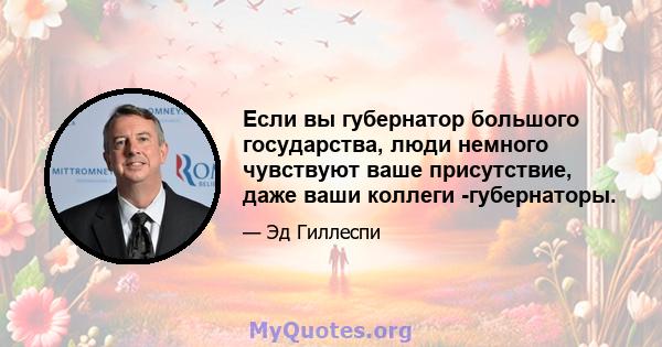 Если вы губернатор большого государства, люди немного чувствуют ваше присутствие, даже ваши коллеги -губернаторы.