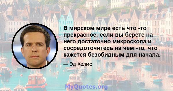 В мирском мире есть что -то прекрасное, если вы берете на него достаточно микроскопа и сосредоточитесь на чем -то, что кажется безобидным для начала.