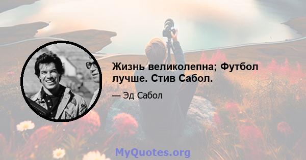 Жизнь великолепна; Футбол лучше. Стив Сабол.