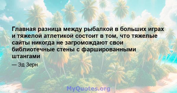 Главная разница между рыбалкой в ​​больших играх и тяжелой атлетикой состоит в том, что тяжелые сайты никогда не загромождают свои библиотечные стены с фаршированными штангами