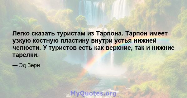 Легко сказать туристам из Тарпона. Тарпон имеет узкую костную пластину внутри устья нижней челюсти. У туристов есть как верхние, так и нижние тарелки.