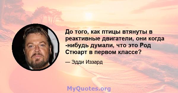 До того, как птицы втянуты в реактивные двигатели, они когда -нибудь думали, что это Род Стюарт в первом классе?