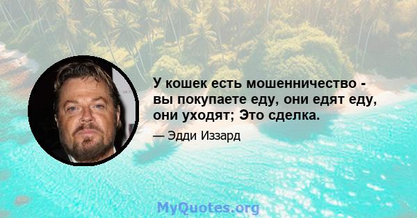 У кошек есть мошенничество - вы покупаете еду, они едят еду, они уходят; Это сделка.