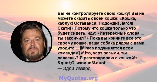 Вы не контролируете свою кошку! Вы не можете сказать своей кошке: «Кошка, каблук! Оставайся! Подожди! Лягся! Скати!» Потому что кошка только что будет сидеть, иду: «Интересные слова ... ты закончил?» Пока вы кричите все 