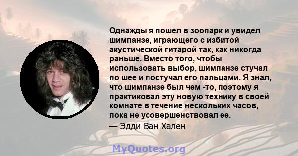 Однажды я пошел в зоопарк и увидел шимпанзе, играющего с избитой акустической гитарой так, как никогда раньше. Вместо того, чтобы использовать выбор, шимпанзе стучал по шее и постучал его пальцами. Я знал, что шимпанзе