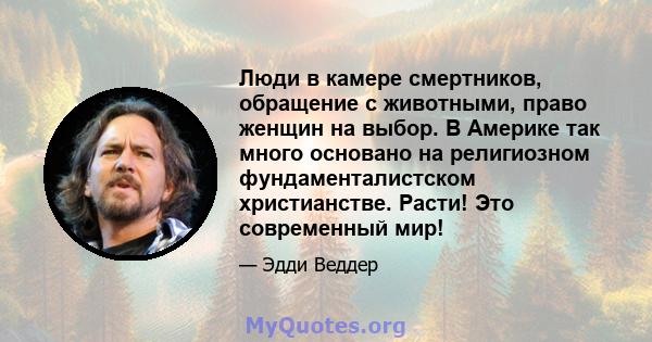 Люди в камере смертников, обращение с животными, право женщин на выбор. В Америке так много основано на религиозном фундаменталистском христианстве. Расти! Это современный мир!