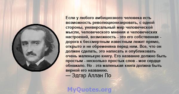 Если у любого амбициозного человека есть возможность революционизировать, с одной стороны, универсальный мир человеческой мысли, человеческого мнения и человеческих настроений, возможность - это его собственная - дорога 