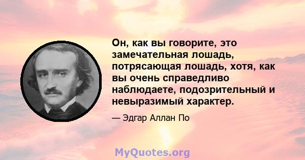 Он, как вы говорите, это замечательная лошадь, потрясающая лошадь, хотя, как вы очень справедливо наблюдаете, подозрительный и невыразимый характер.