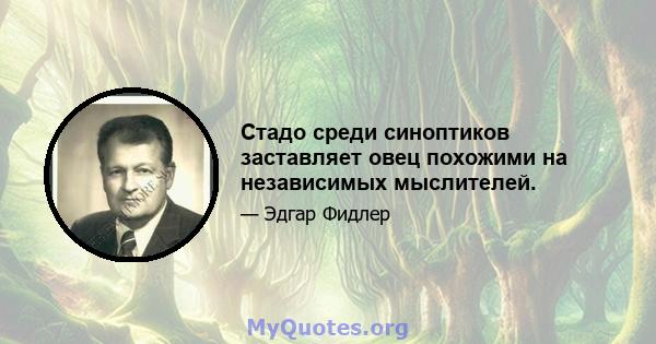 Стадо среди синоптиков заставляет овец похожими на независимых мыслителей.