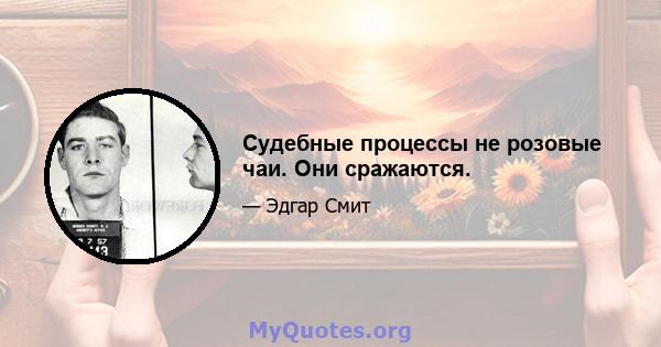 Судебные процессы не розовые чаи. Они сражаются.