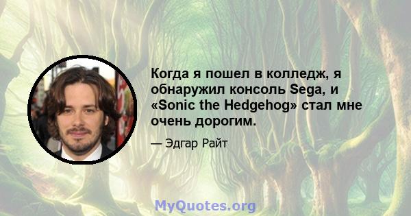 Когда я пошел в колледж, я обнаружил консоль Sega, и «Sonic the Hedgehog» стал мне очень дорогим.