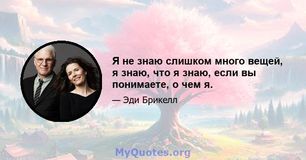 Я не знаю слишком много вещей, я знаю, что я знаю, если вы понимаете, о чем я.