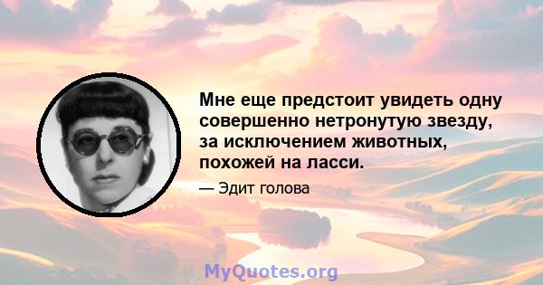 Мне еще предстоит увидеть одну совершенно нетронутую звезду, за исключением животных, похожей на ласси.