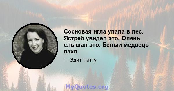 Сосновая игла упала в лес. Ястреб увидел это. Олень слышал это. Белый медведь пахл